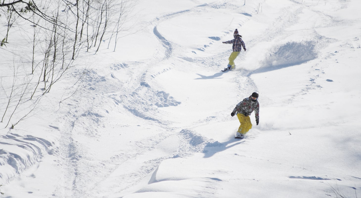 TENGU CAT-SKI GUIDES