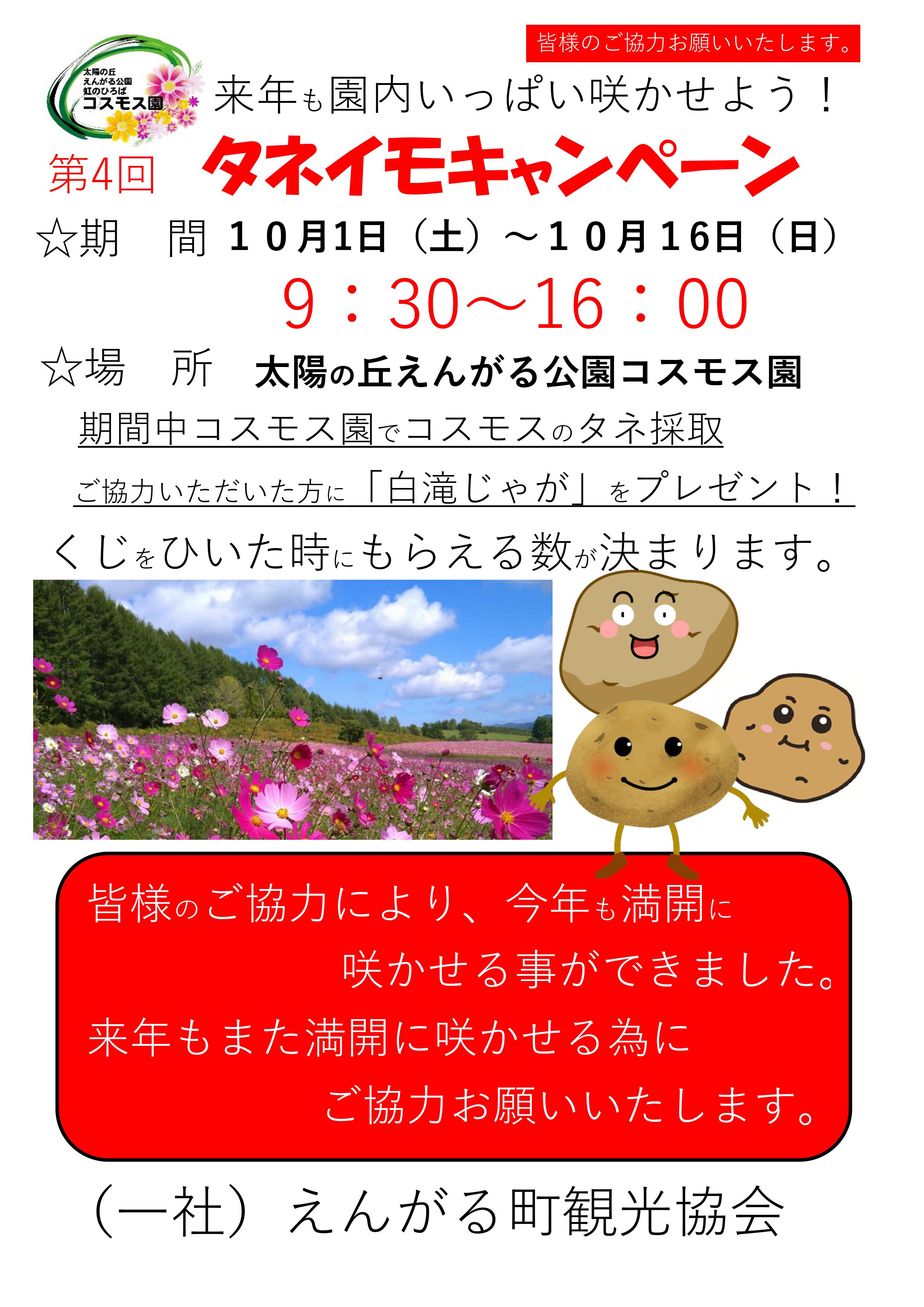 タネイモキャンペーンチラシ