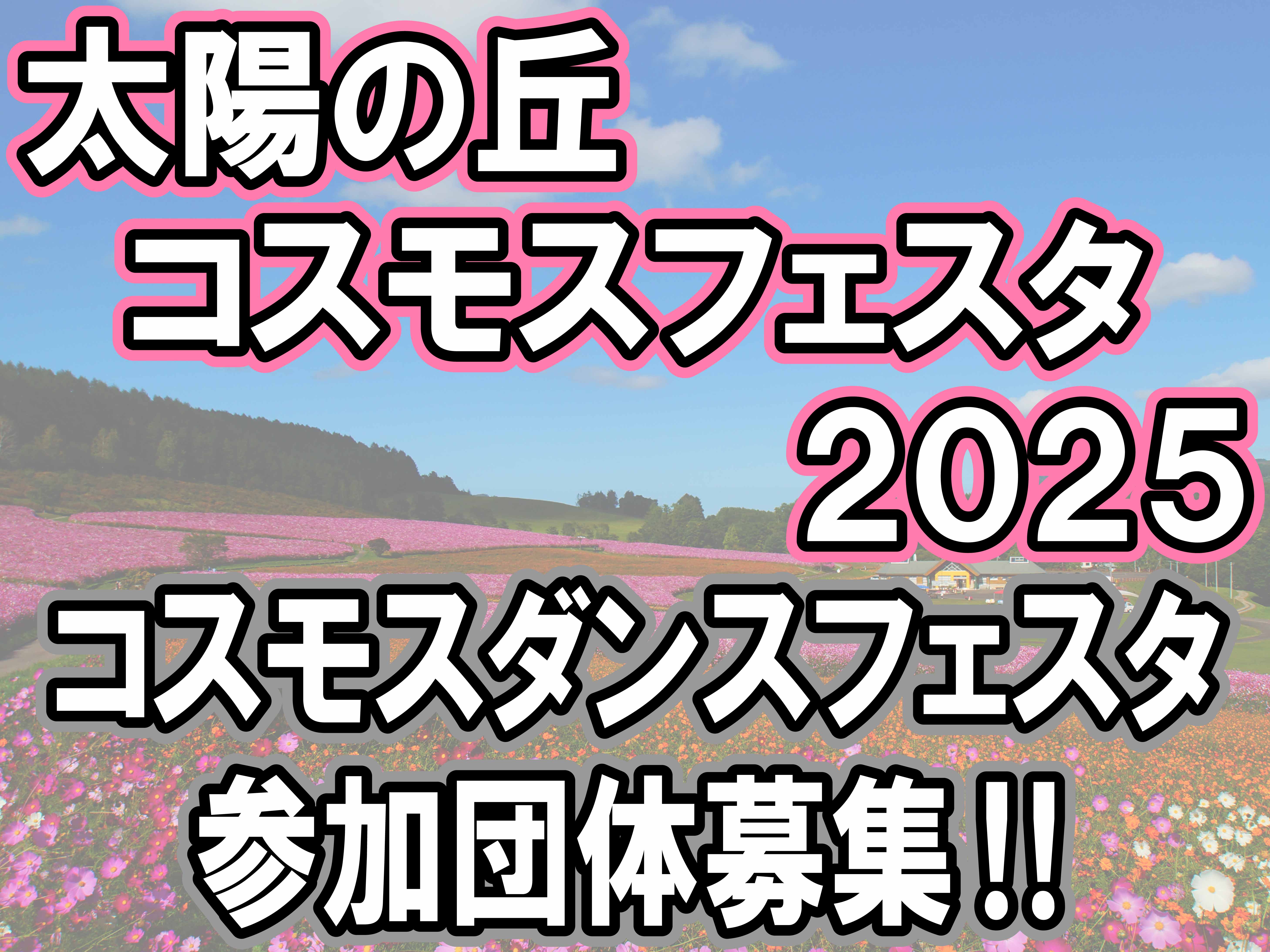 太陽の丘コスモスフェスタ2025　町外ダンスチーム募集
