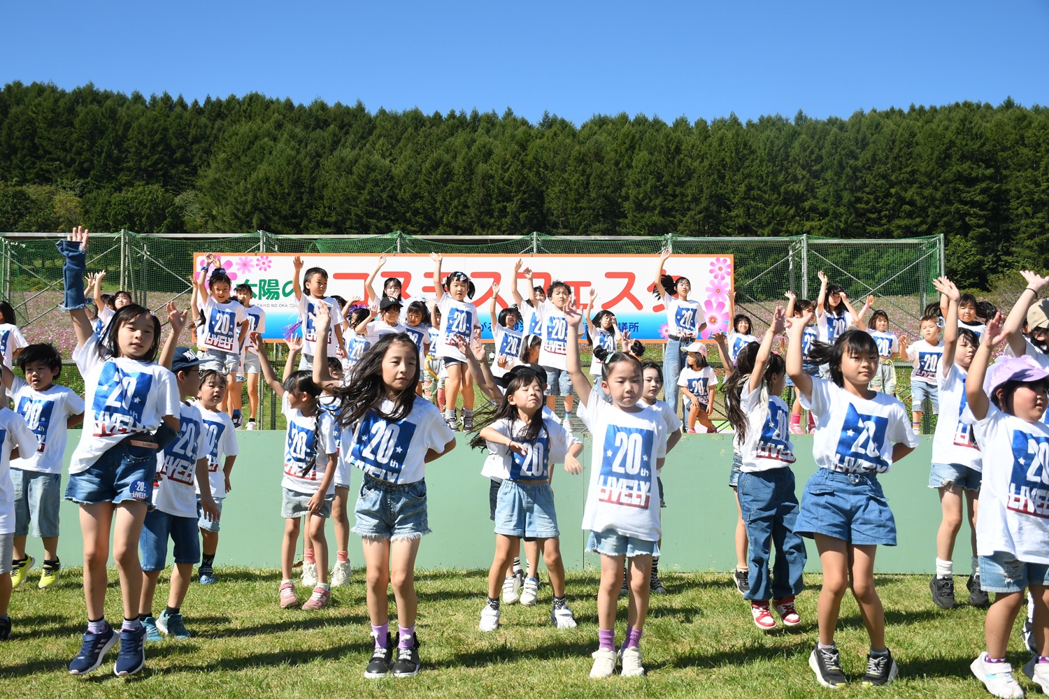 太陽の丘コスモスフェスタ2024の様子